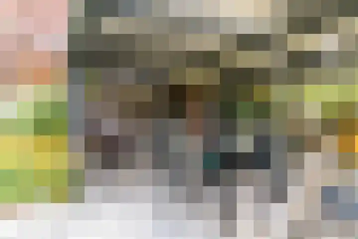 Zandzwaluw 24 Eindhoven thumbnail 46