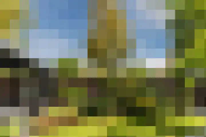 Zandzwaluw 24 Eindhoven thumbnail 50