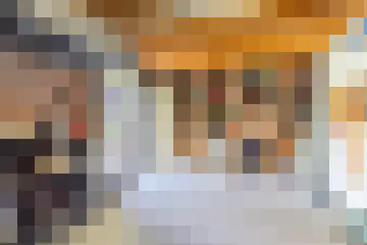 Zandzwaluw 24 Eindhoven thumbnail 57