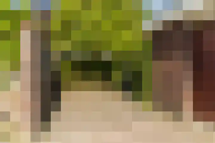 Zandzwaluw 24 Eindhoven thumbnail 58