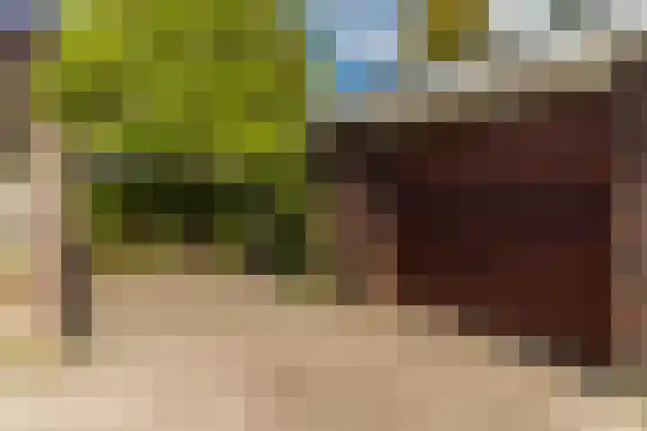 Zandzwaluw 24 Eindhoven thumbnail 59