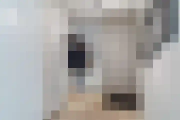 Zandzwaluw 24 Eindhoven thumbnail 6
