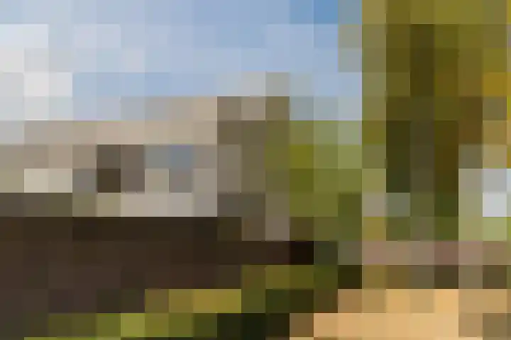 Zandzwaluw 24 Eindhoven thumbnail 62