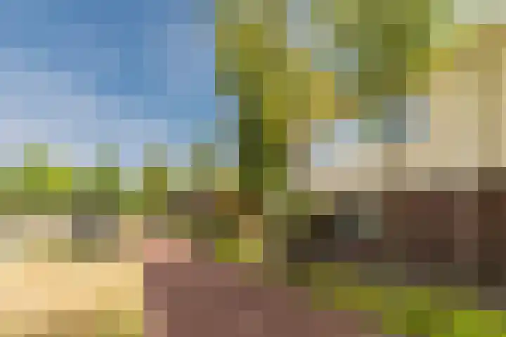 Zandzwaluw 24 Eindhoven thumbnail 63