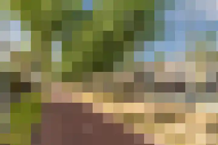 Zandzwaluw 24 Eindhoven thumbnail 66