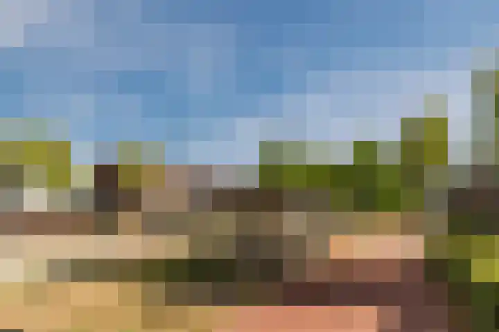 Zandzwaluw 24 Eindhoven thumbnail 67