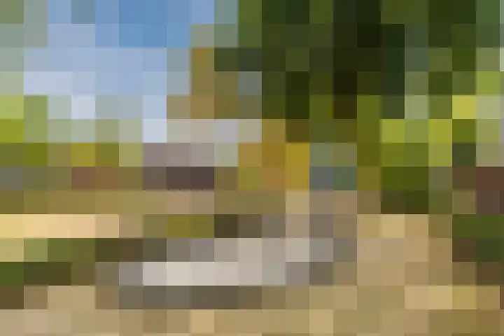 Zandzwaluw 24 Eindhoven thumbnail 68
