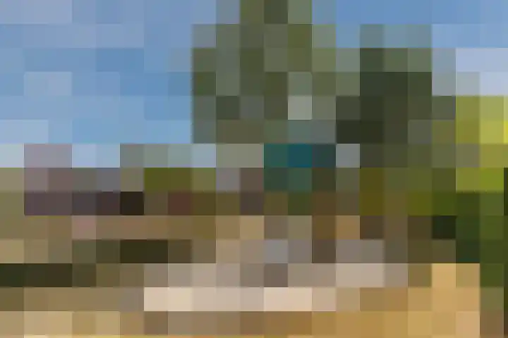 Zandzwaluw 24 Eindhoven thumbnail 69