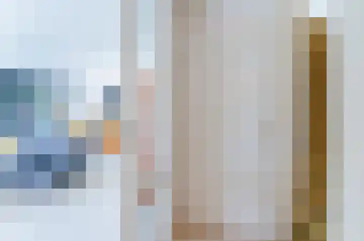 Zandzwaluw 24 Eindhoven thumbnail 8