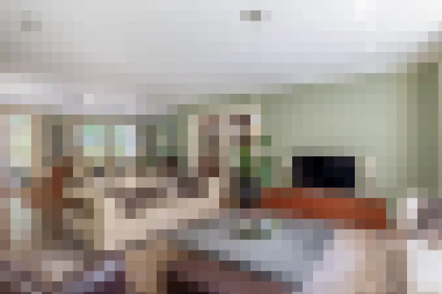 Zanger 24 Eersel thumbnail 22