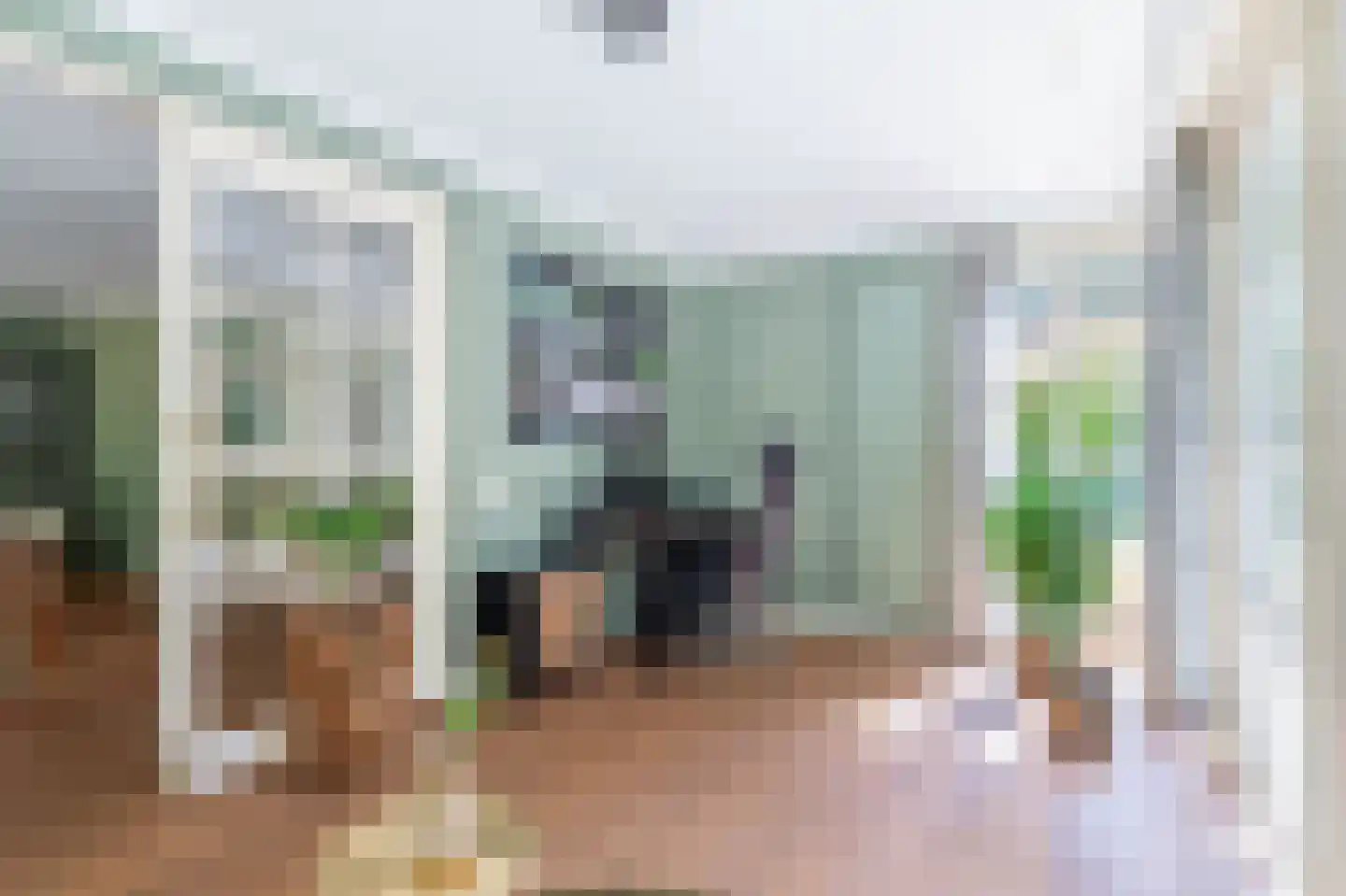 Zanger 24 Eersel thumbnail 24