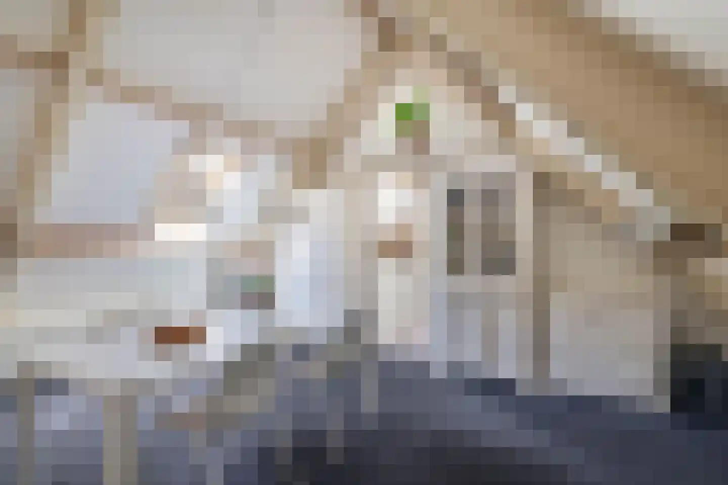 Zanger 24 Eersel thumbnail 37