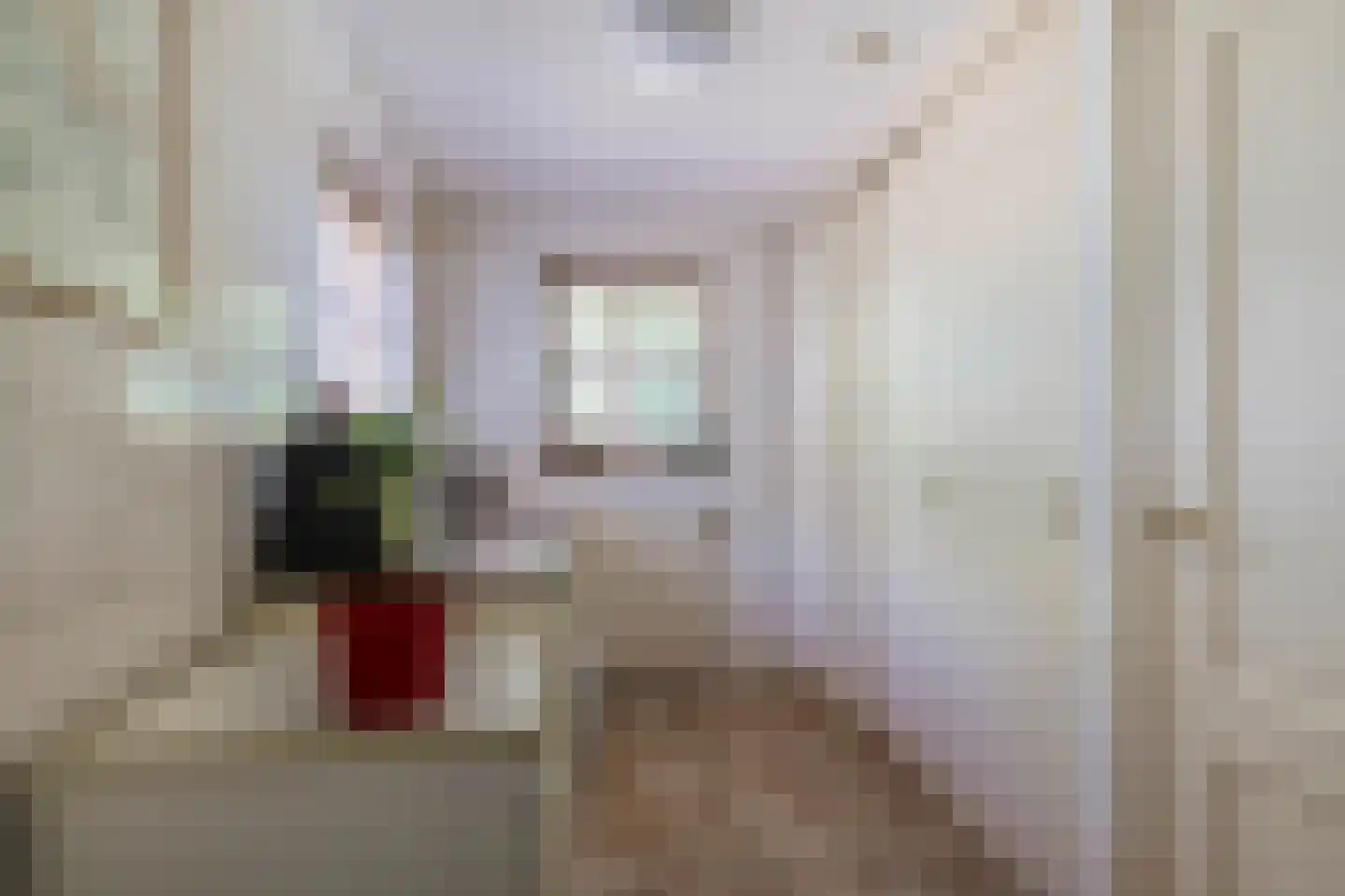 Zanger 24 Eersel thumbnail 38