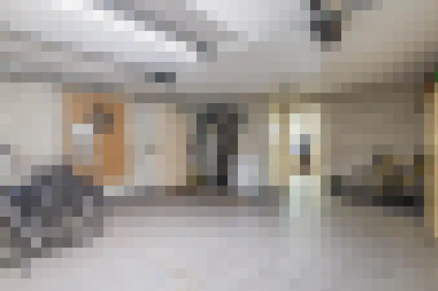 Zanger 24 Eersel thumbnail 64