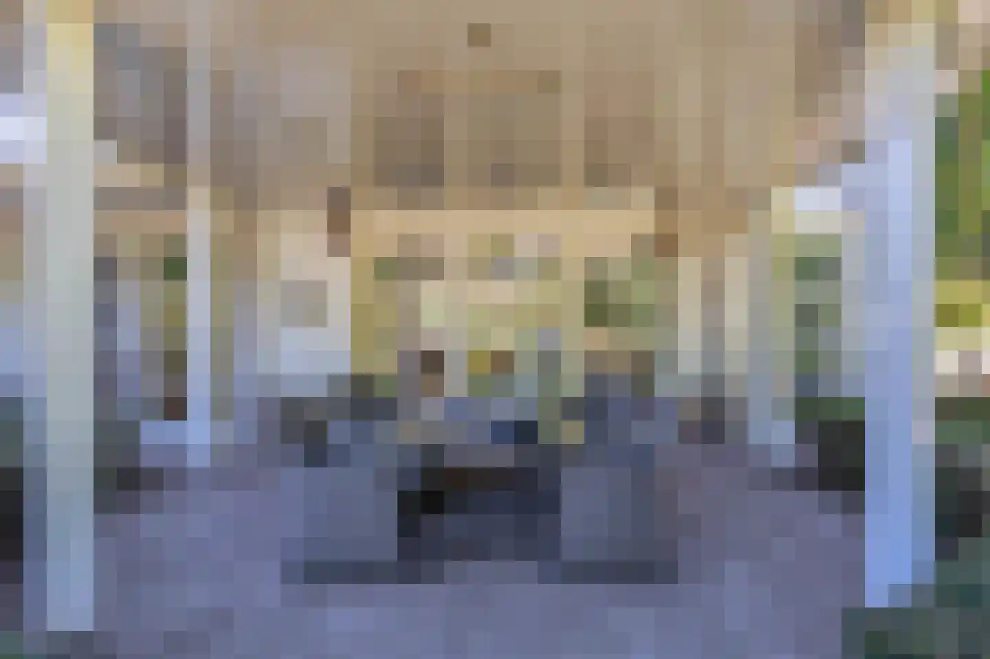 Zanger 24 Eersel thumbnail 70