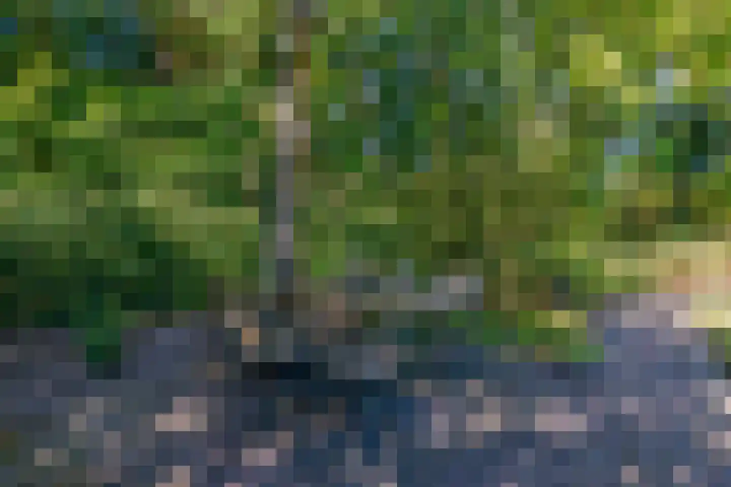 Zanger 24 Eersel thumbnail 74