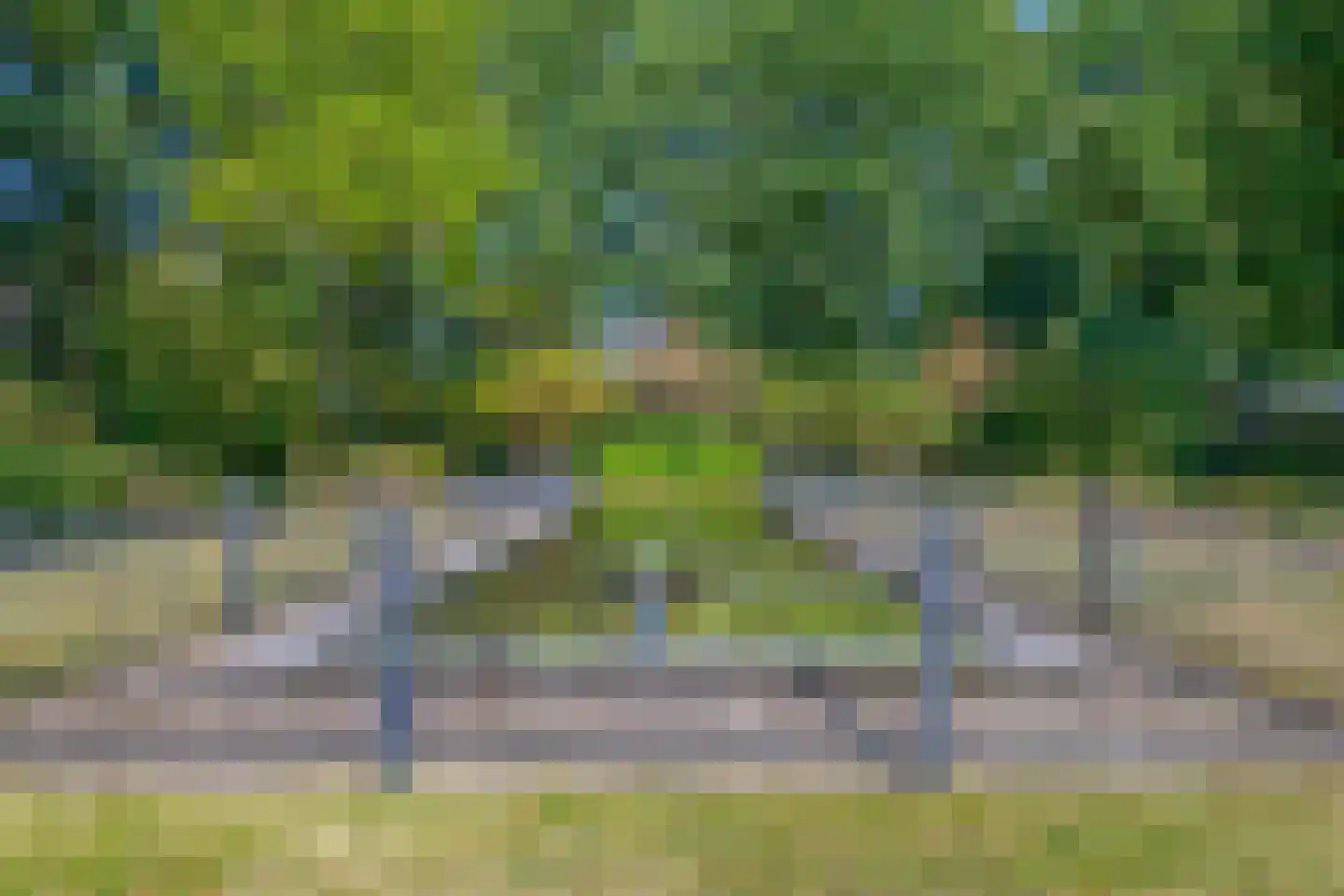 Zanger 24 Eersel thumbnail 76