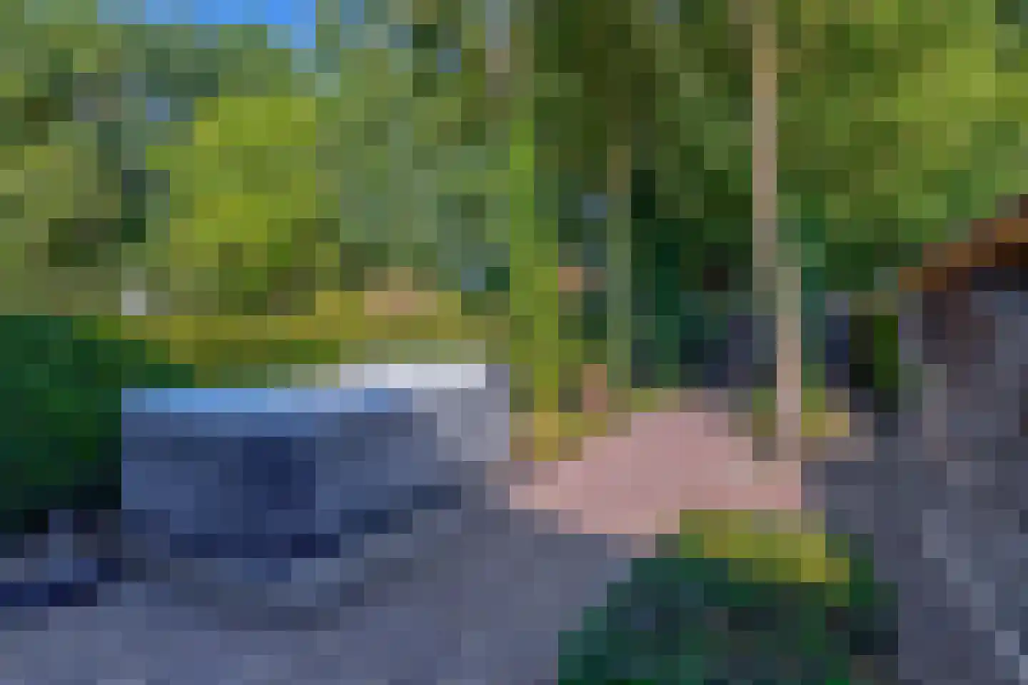 Zanger 24 Eersel thumbnail 79