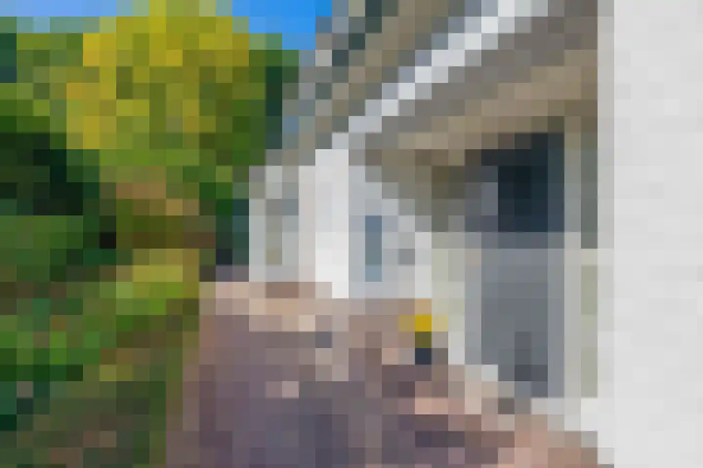 Zanger 24 Eersel thumbnail 8