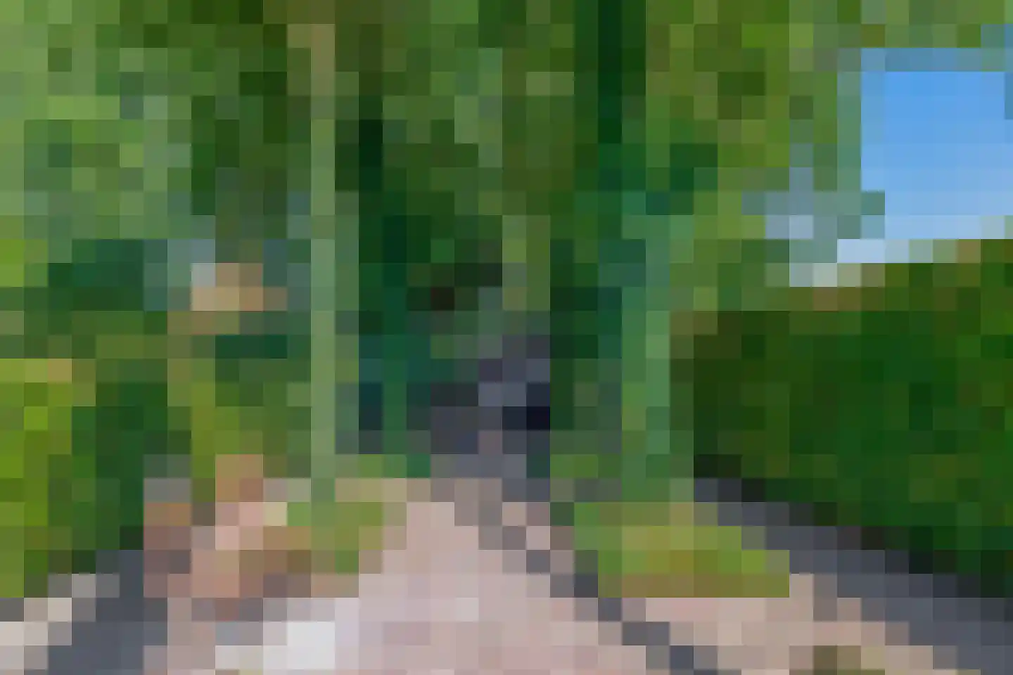 Zanger 24 Eersel thumbnail 80