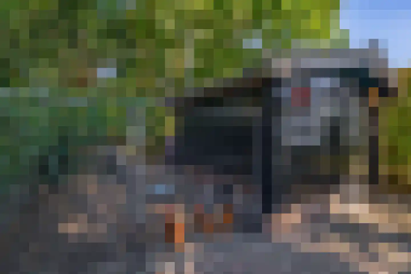 Zanger 24 Eersel thumbnail 81