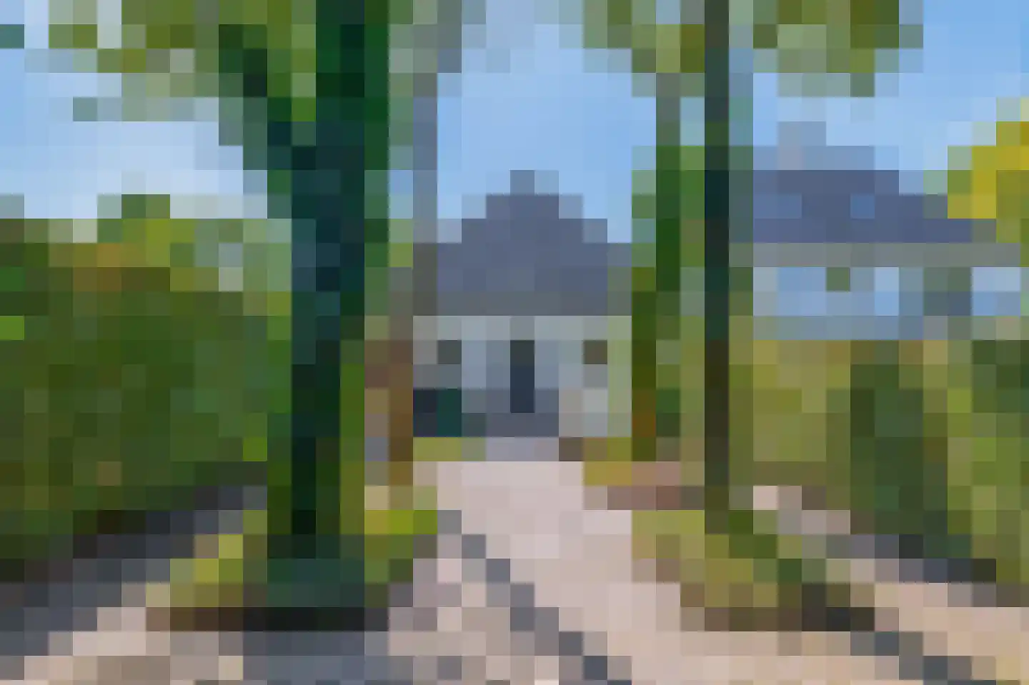 Zanger 24 Eersel thumbnail 82