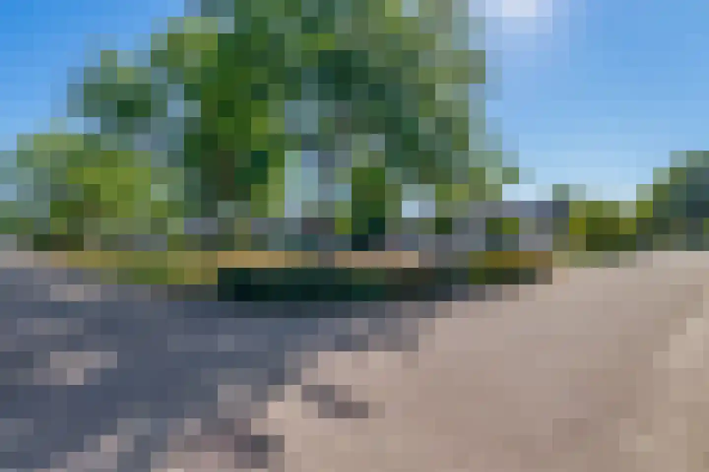 Zanger 24 Eersel thumbnail 86