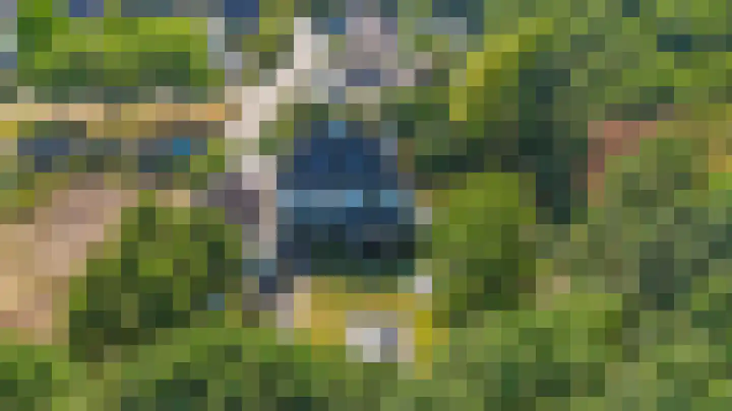 Zanger 24 Eersel thumbnail 89
