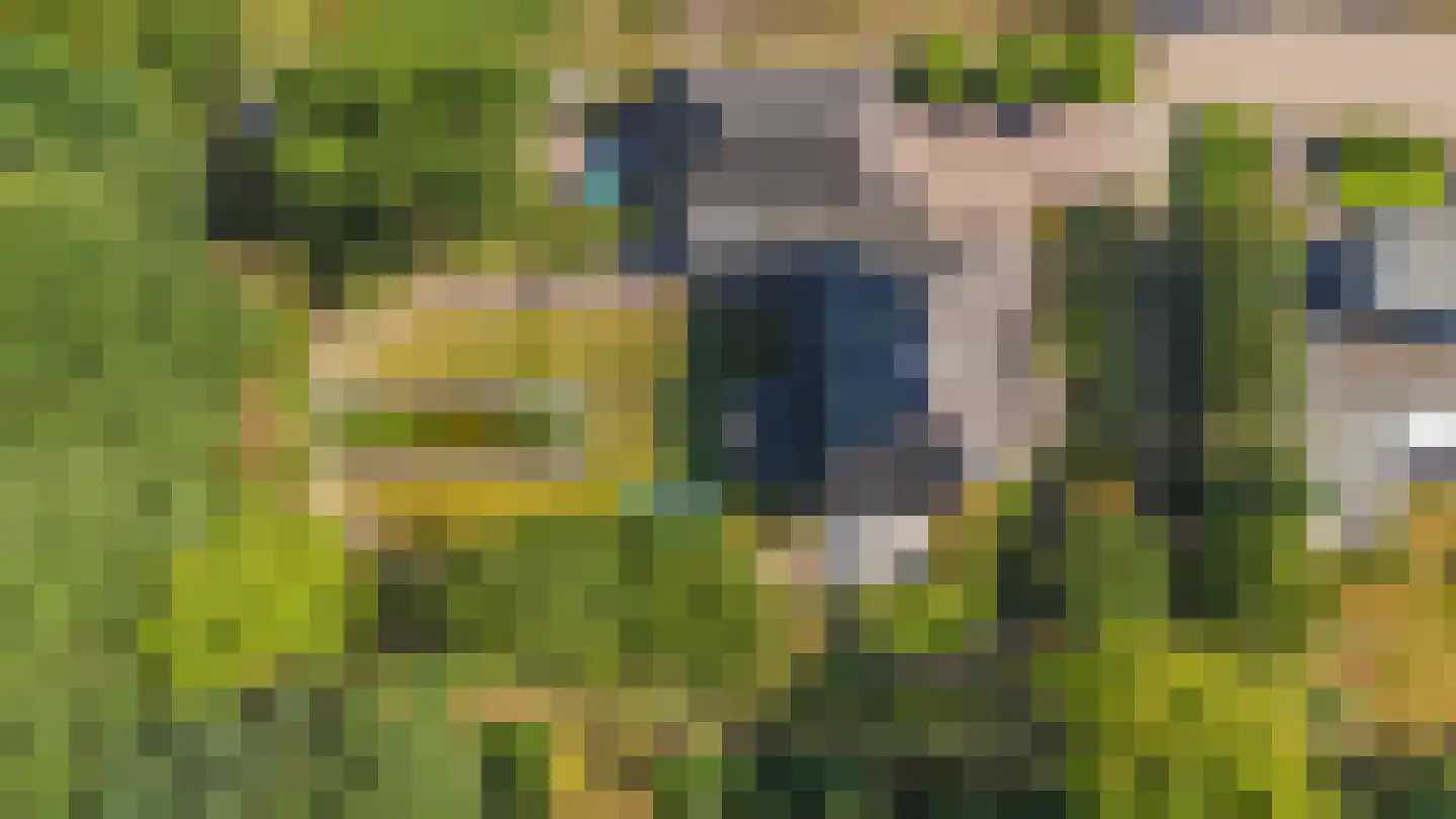 Zanger 24 Eersel thumbnail 90