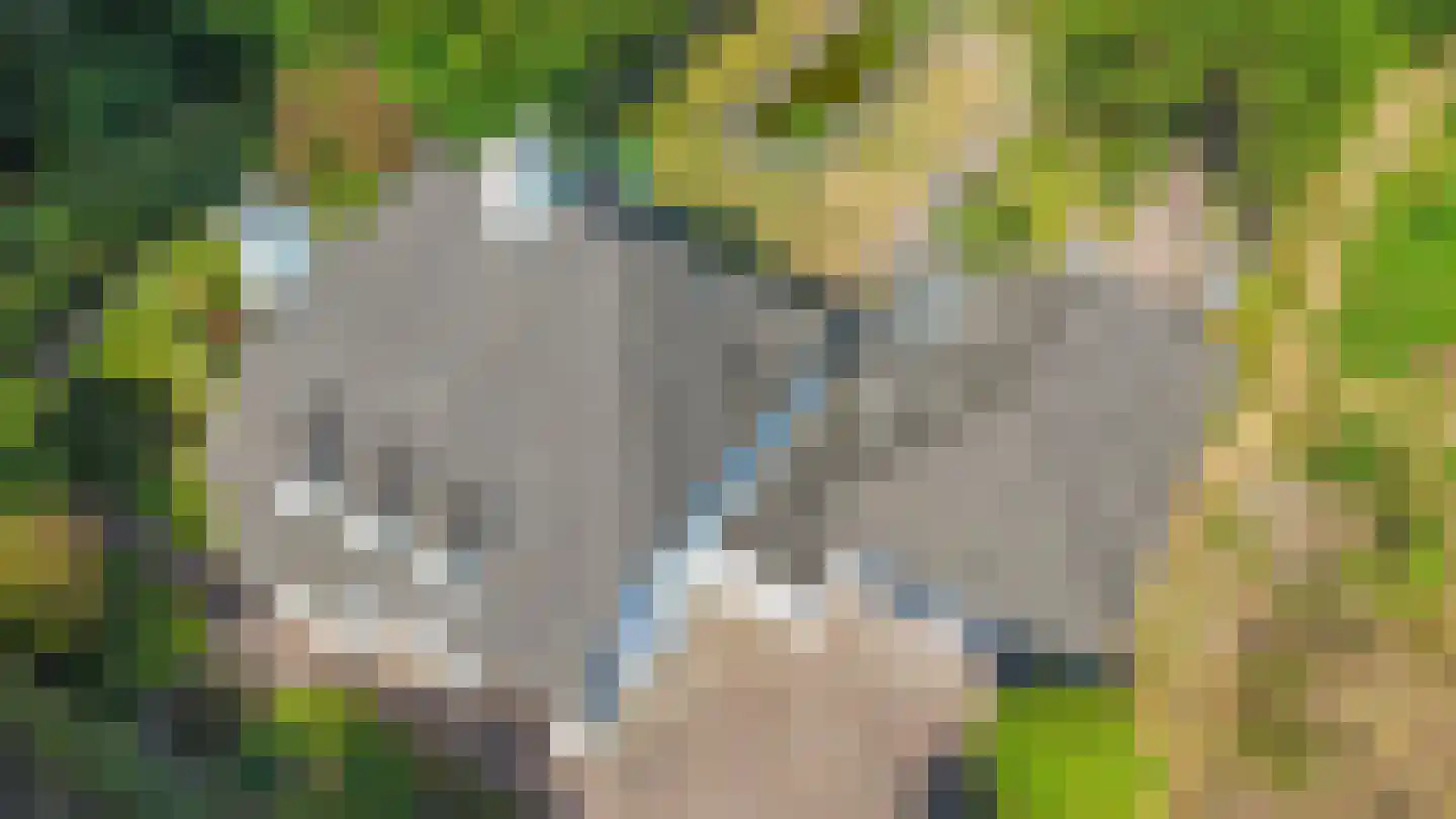 Zanger 24 Eersel thumbnail 91