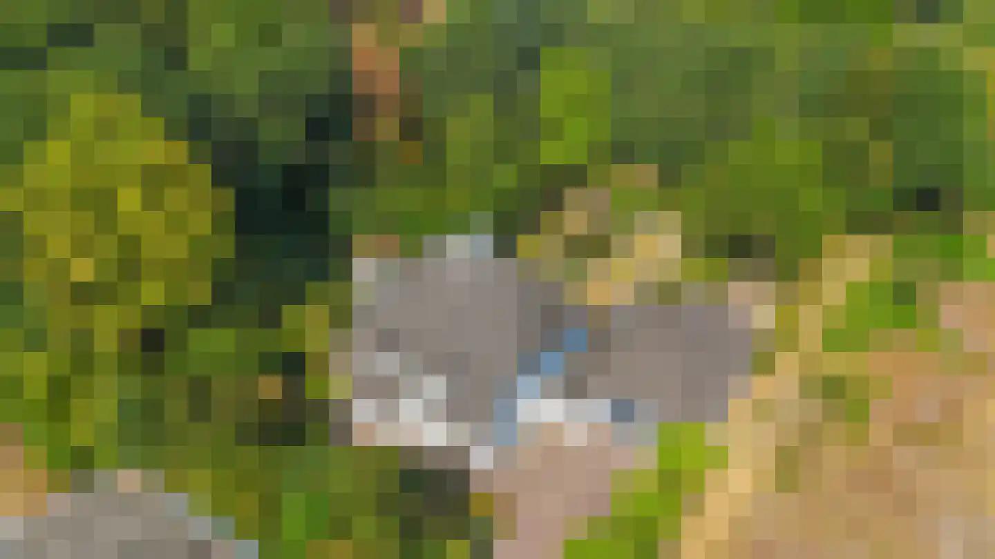 Zanger 24 Eersel thumbnail 94