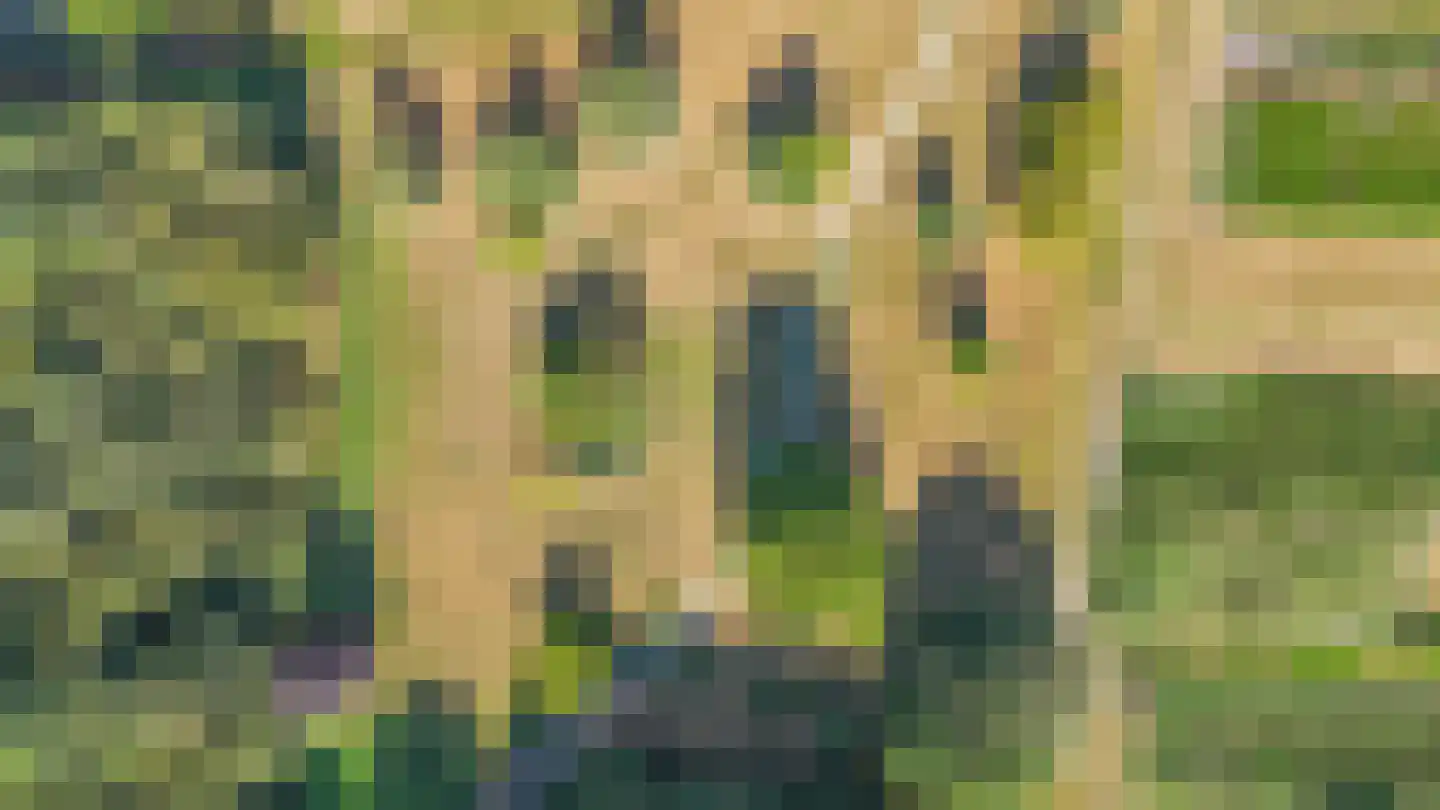Zanger 24 Eersel thumbnail 95