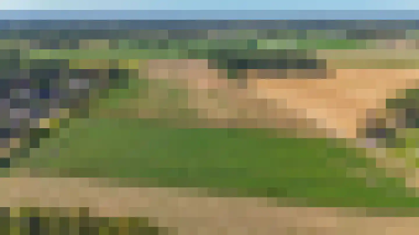 Zanger 24 Eersel thumbnail 96