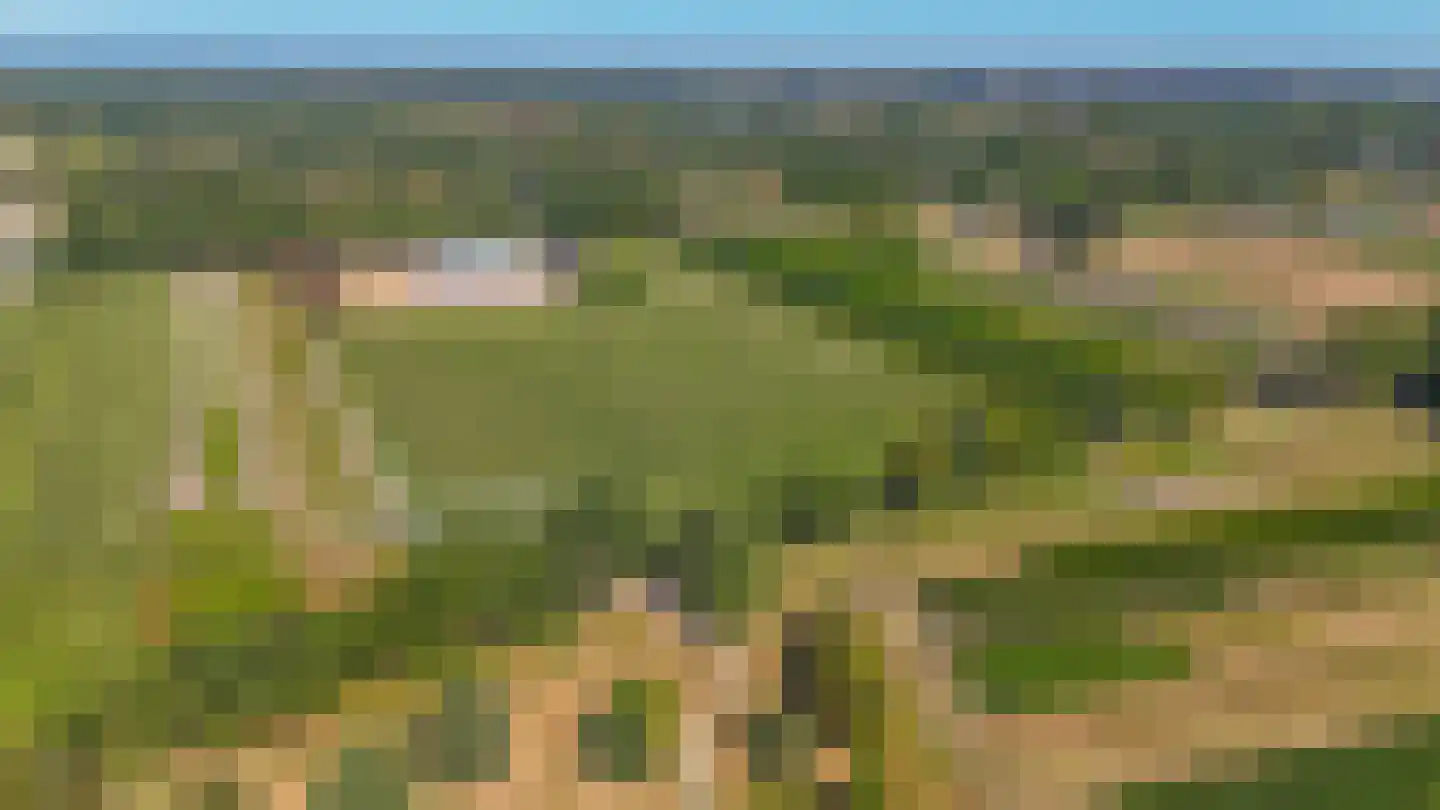 Zanger 24 Eersel thumbnail 97