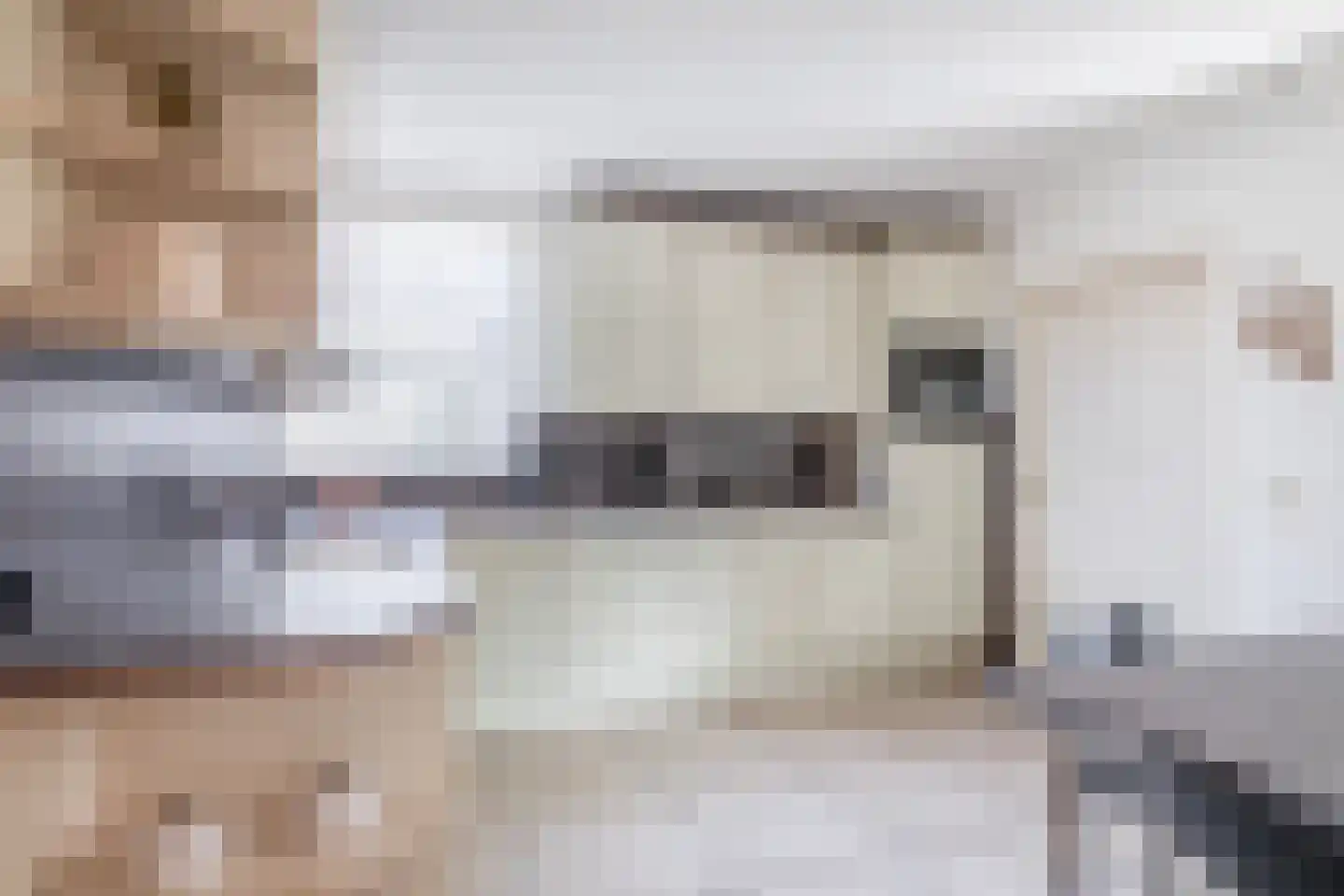 Zanger 9 Eersel thumbnail 14