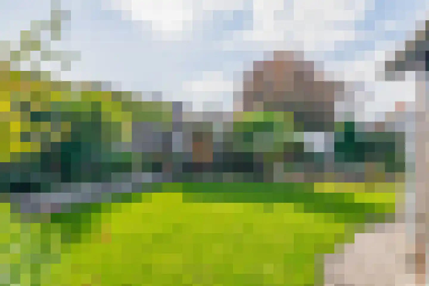 Zanger 9 Eersel thumbnail 40