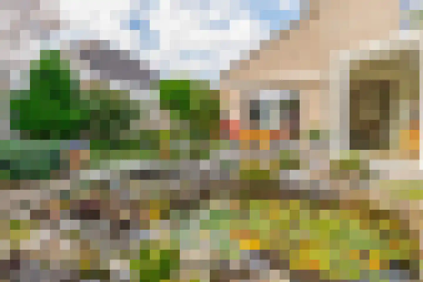 Zanger 9 Eersel thumbnail 44