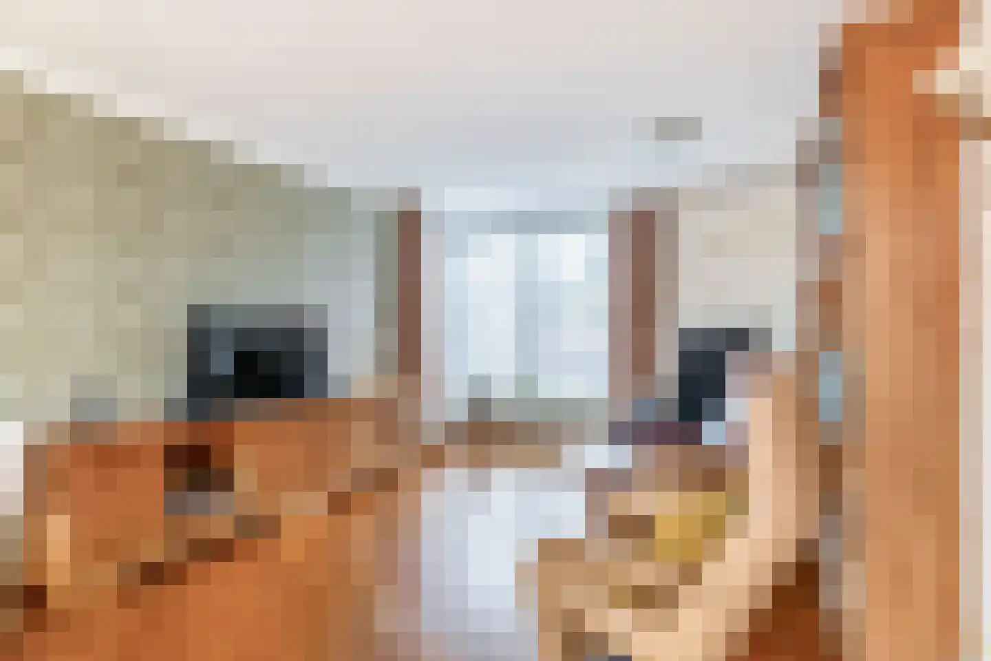 Zanger 9 Eersel thumbnail 8
