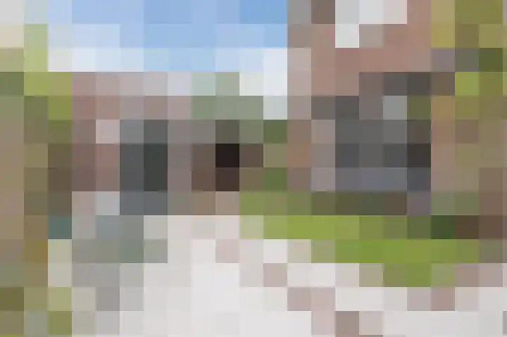 Zangershof 14 Helmond thumbnail 34