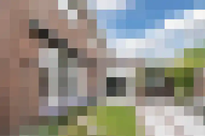 Zangershof 14 Helmond thumbnail 36