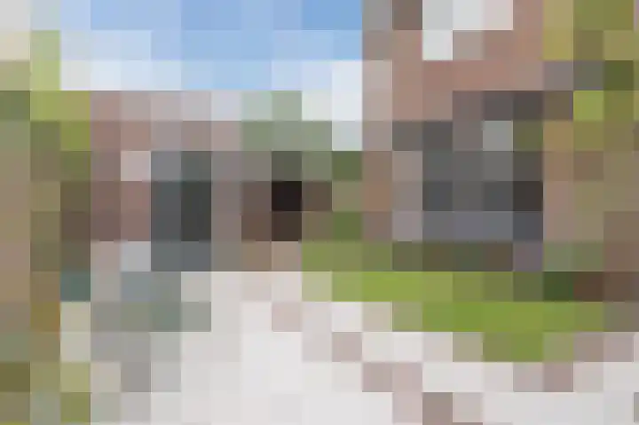 Zangershof 14 Helmond thumbnail 5