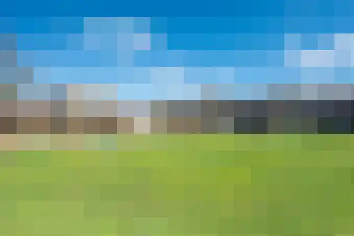 Zangershof 22 Helmond thumbnail 10