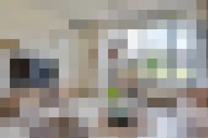 Zangershof 22 Helmond thumbnail 16