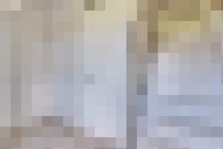 Zangershof 22 Helmond thumbnail 24