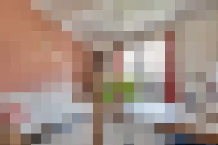 Zangershof 22 Helmond thumbnail 28