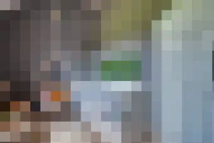 Zangershof 22 Helmond thumbnail 30
