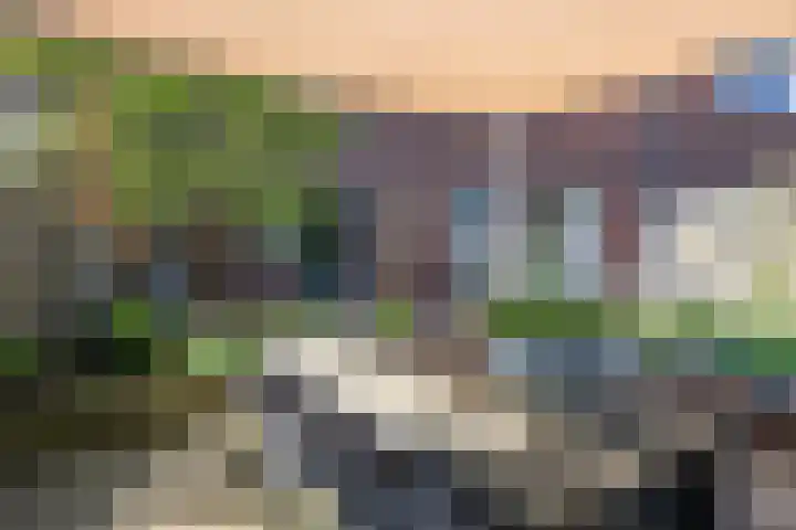 Zangershof 22 Helmond thumbnail 37