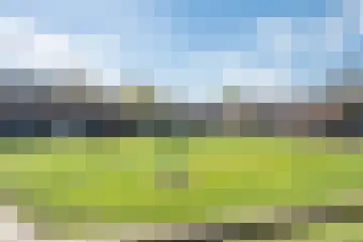 Zangershof 22 Helmond thumbnail 40