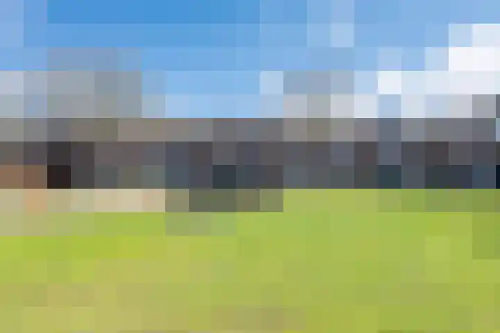 Zangershof 22 Helmond thumbnail 9