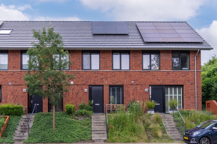 Zanglijster 101 en Rhenen foto